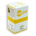 CamomileTea 20 x 2 g