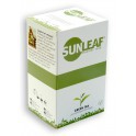 Green Tea 20 x 2 g