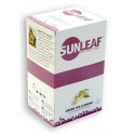 Green Tea Jasmine 20 x 2 g
