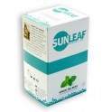 Green Tea Mint 20 x 2 g