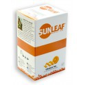 Orange Tea 20 x 2 g