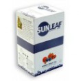 Forest Fruit Tea 20 x 2g
